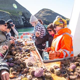 Image from excursion
